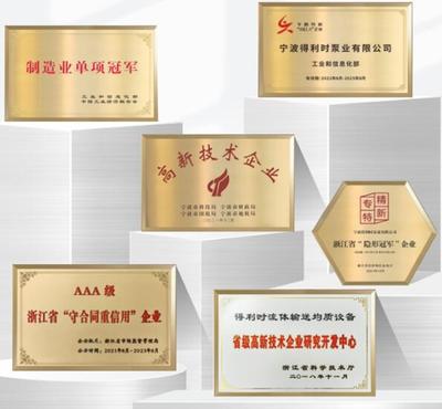 得利時(shí)泵業(yè)入選浙江省內(nèi)外貿(mào)一體化企業(yè)，彰顯浙江服務(wù)型制造新標(biāo)桿